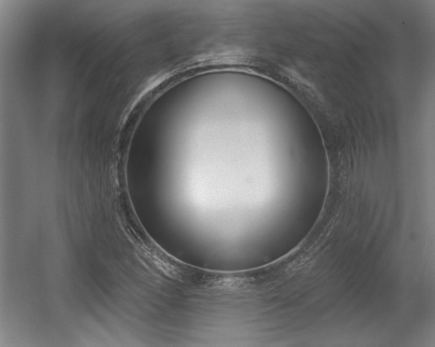 X0000056011166200508191253