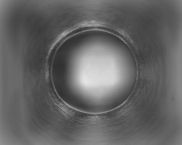 X0000056011167200508191253