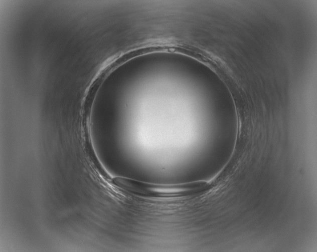 X0000056011168200508191253