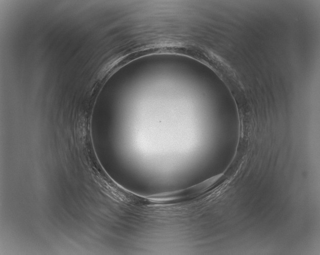 X0000056011169200508191253