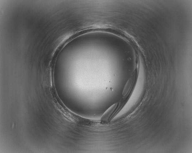 X0000056011171200508191253