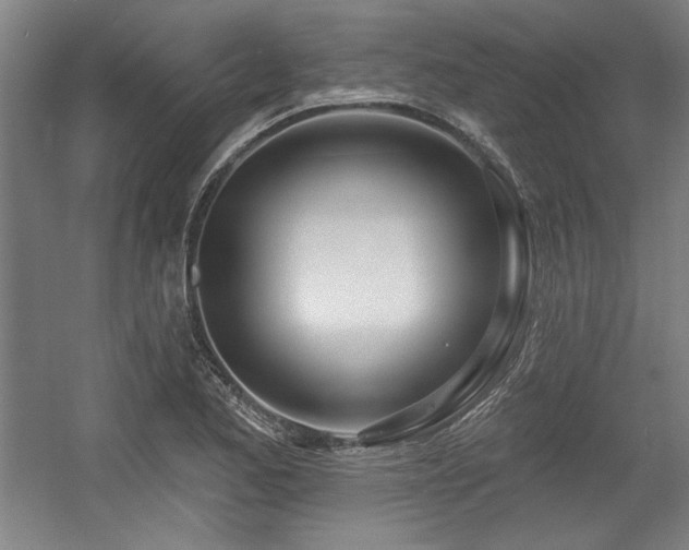 X0000056011173200508191253