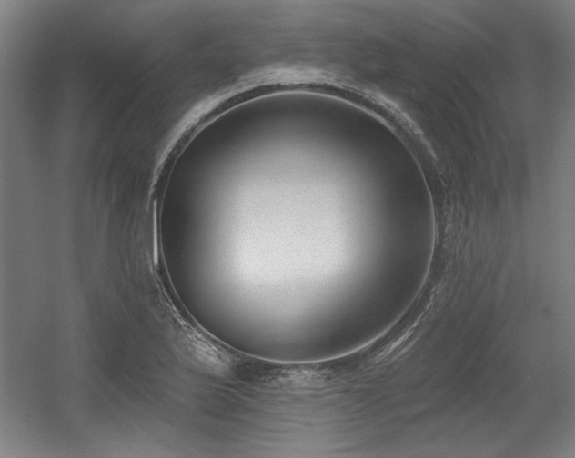 X0000056011175200508191253