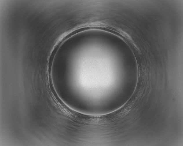 X0000056011176200508191253