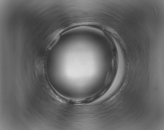 X0000056011177200508191253