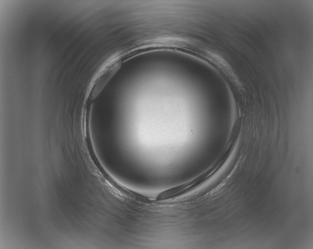 X0000056011180200508191253