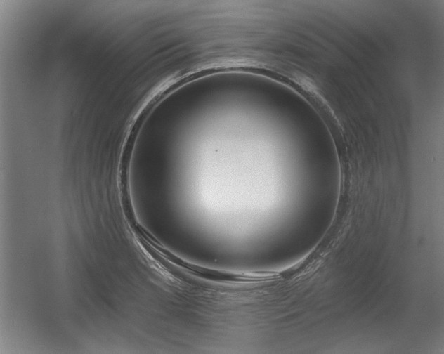 X0000056011181200508191253