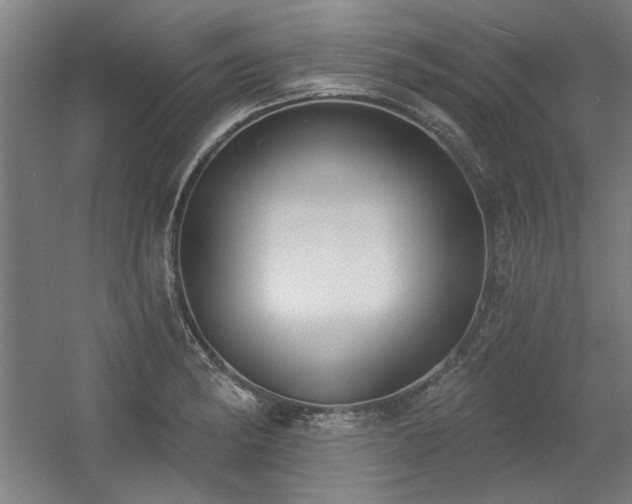 X0000056011182200508191253