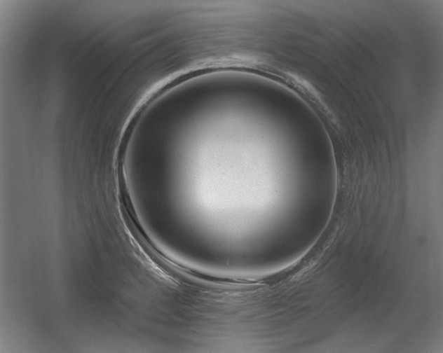 X0000056011184200508191253