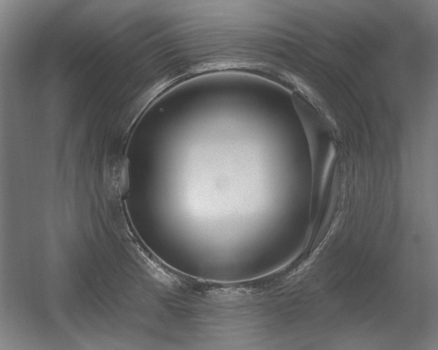 X0000056011185200508191253