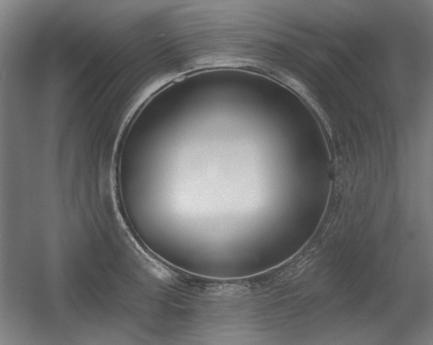 X0000056011187200508191253