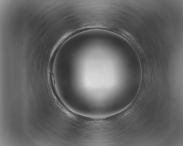 X0000056011188200508191253