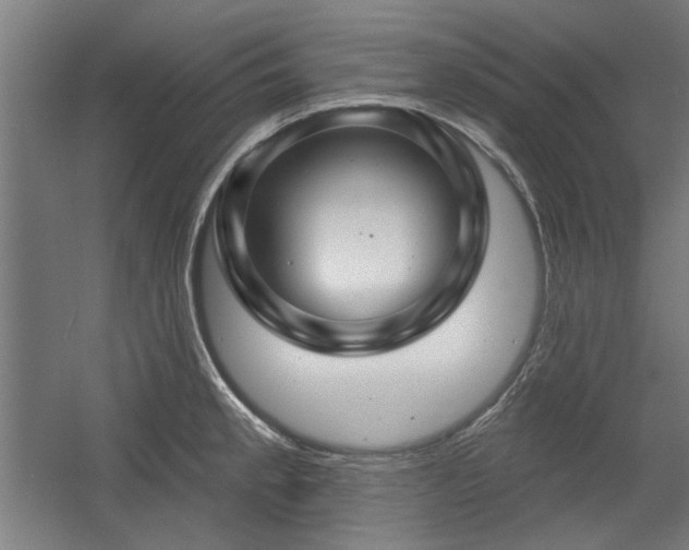 X0000056011189200508191253