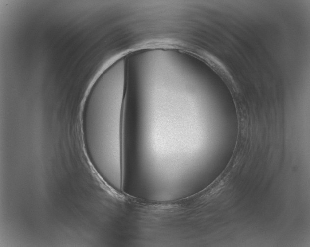 X0000056011192200508191253