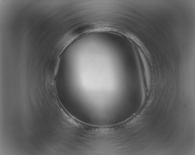 X0000056011193200508191253