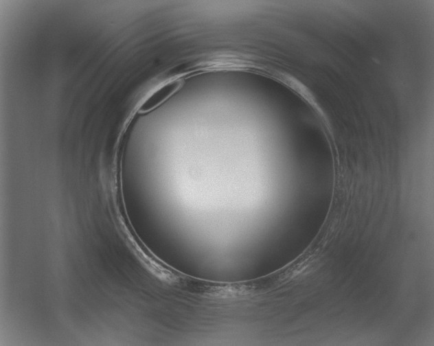 X0000056011195200508191253