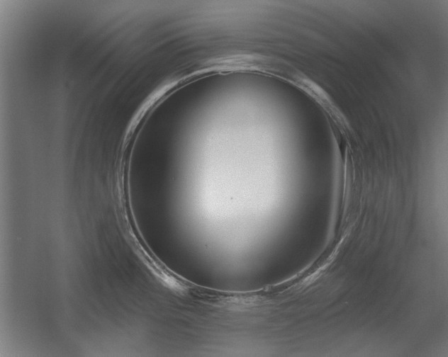 X0000056011196200508191253