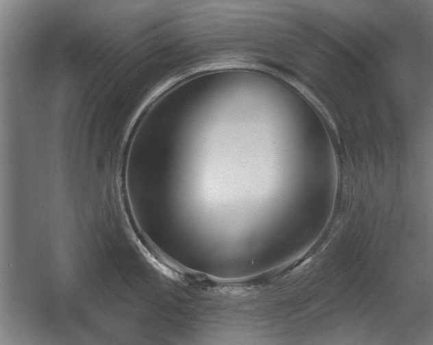 X0000056011197200508191253