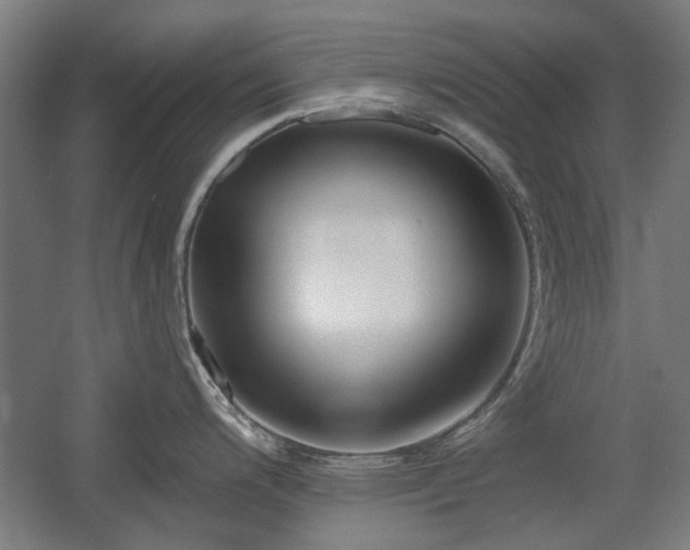X0000056011200200508191253