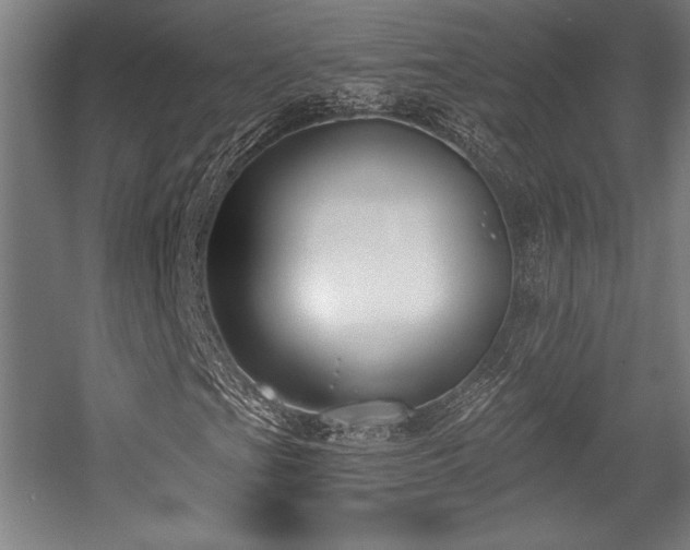 X0000056011201200508191252