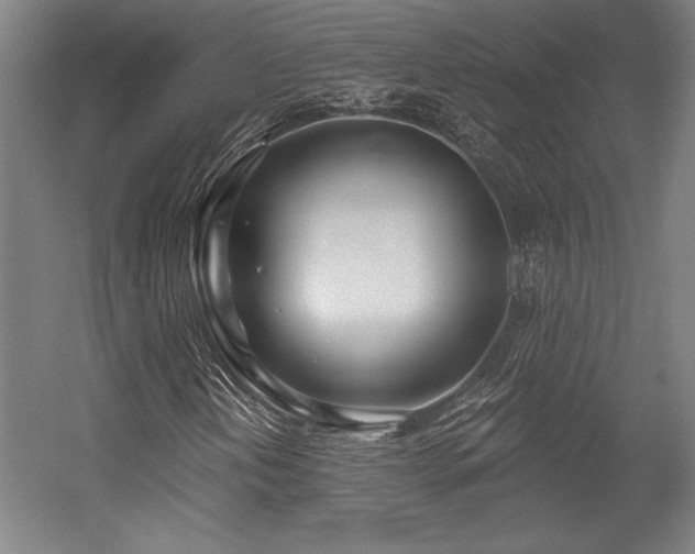 X0000056011202200508191252