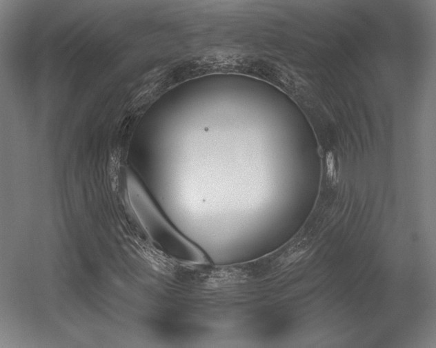 X0000056011203200508191252