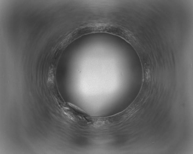 X0000056011204200508191252