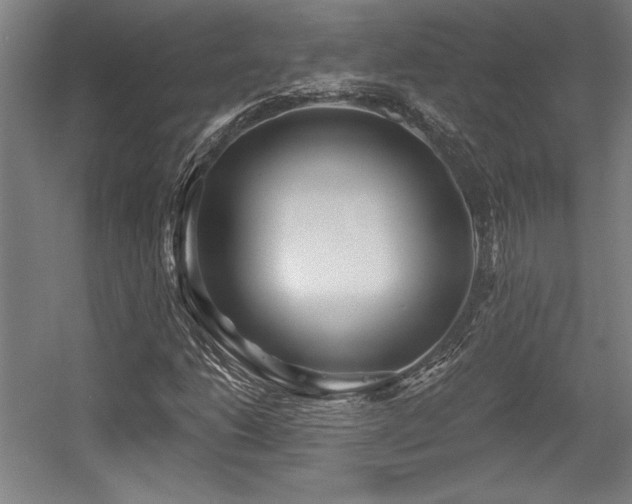 X0000056011206200508191252