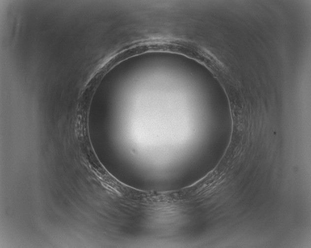 X0000056011208200508191252