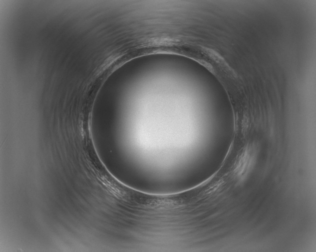 X0000056011209200508191252