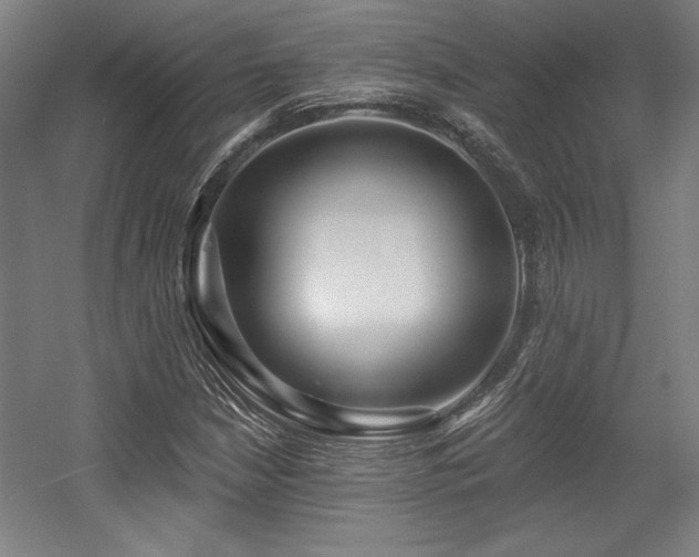 X0000056011210200508191252