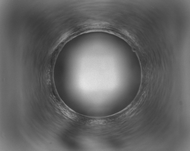 X0000056011211200508191252