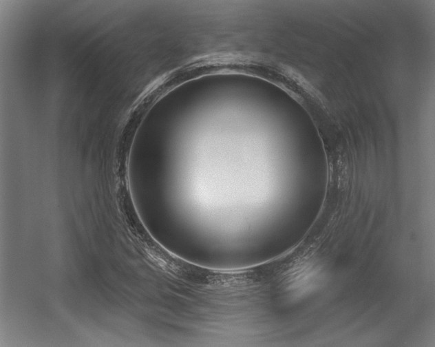 X0000056011213200508191252