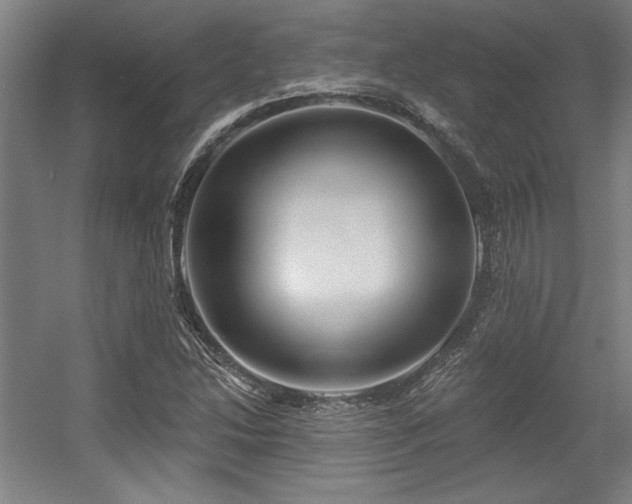 X0000056011214200508191252