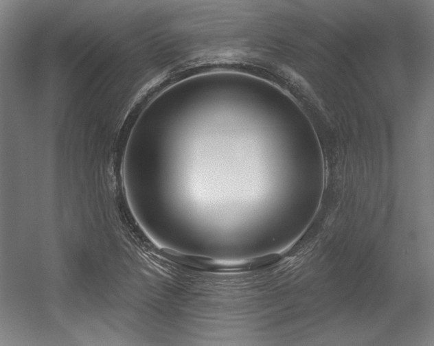 X0000056011218200508191252