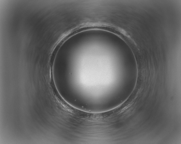 X0000056011221200508191252