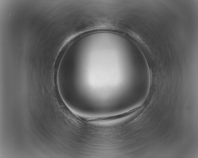 X0000056011222200508191252