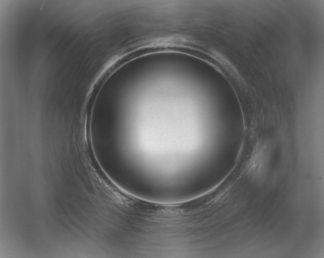 X0000056011224200508191252