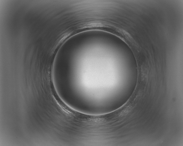 X0000056011225200508191252