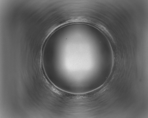 X0000056011228200508191252