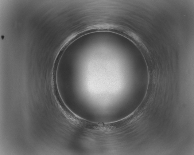X0000056011229200508191252