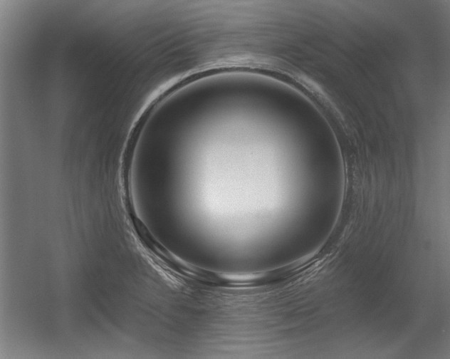 X0000056011230200508191252