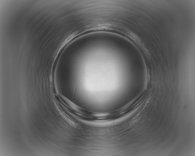 X0000056011234200508191253