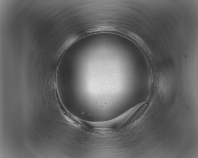 X0000056011241200508191253