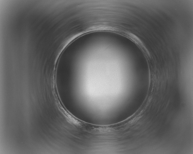 X0000056011244200508191253