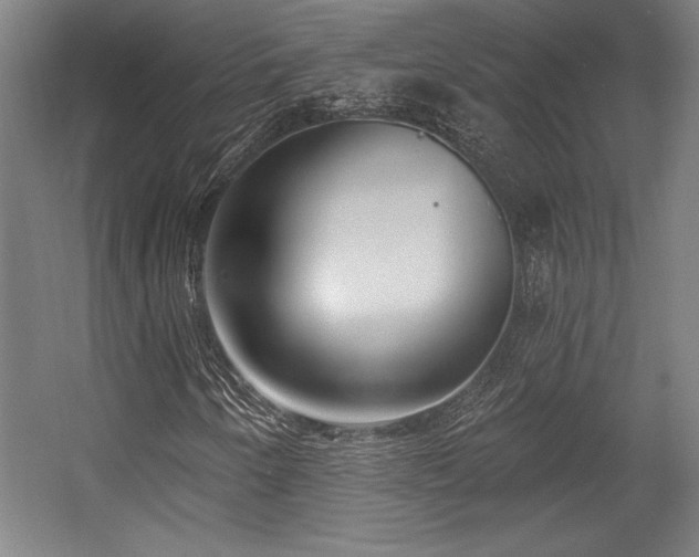 X0000056011250200508191252