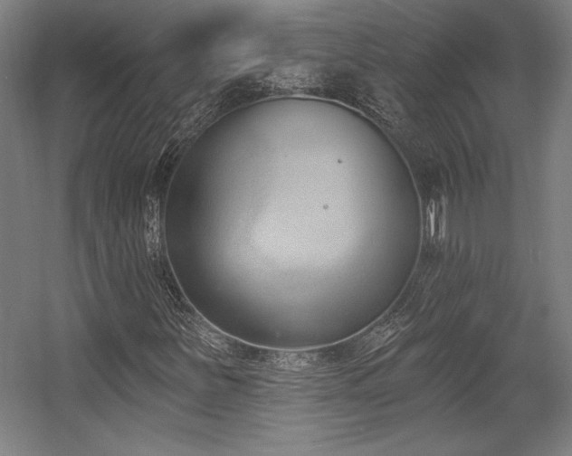 X0000056011251200508191252