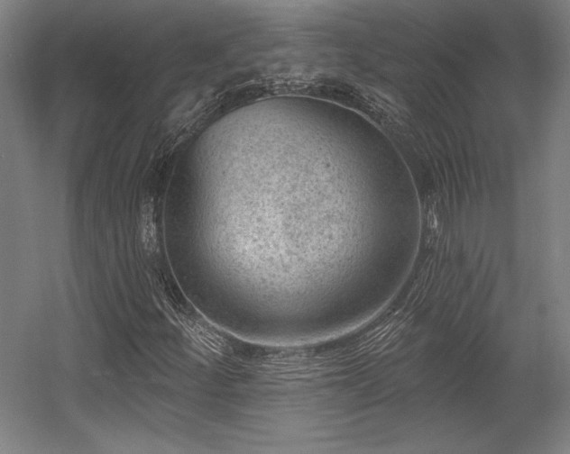 X0000056011252200508191252