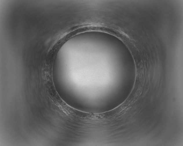 X0000056011255200508191252