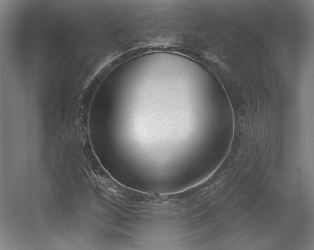 X0000056011256200508191252